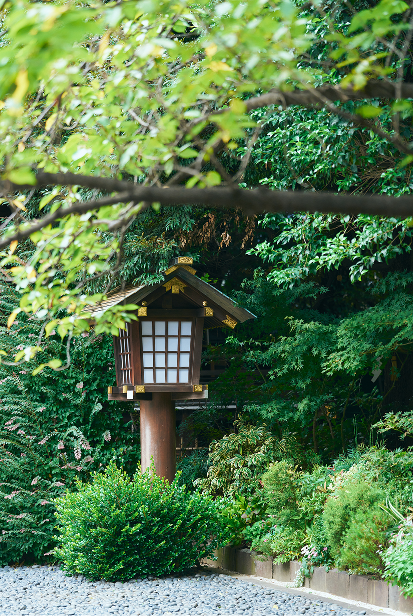 メインイメージ